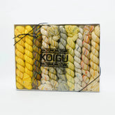Koigu Pencil Box
