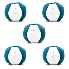 Deluxe DK Superwash Bag of 5