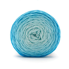 Anti-Pilling Everyday® Worsted Gradient