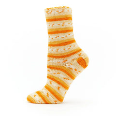 Fruits Sock